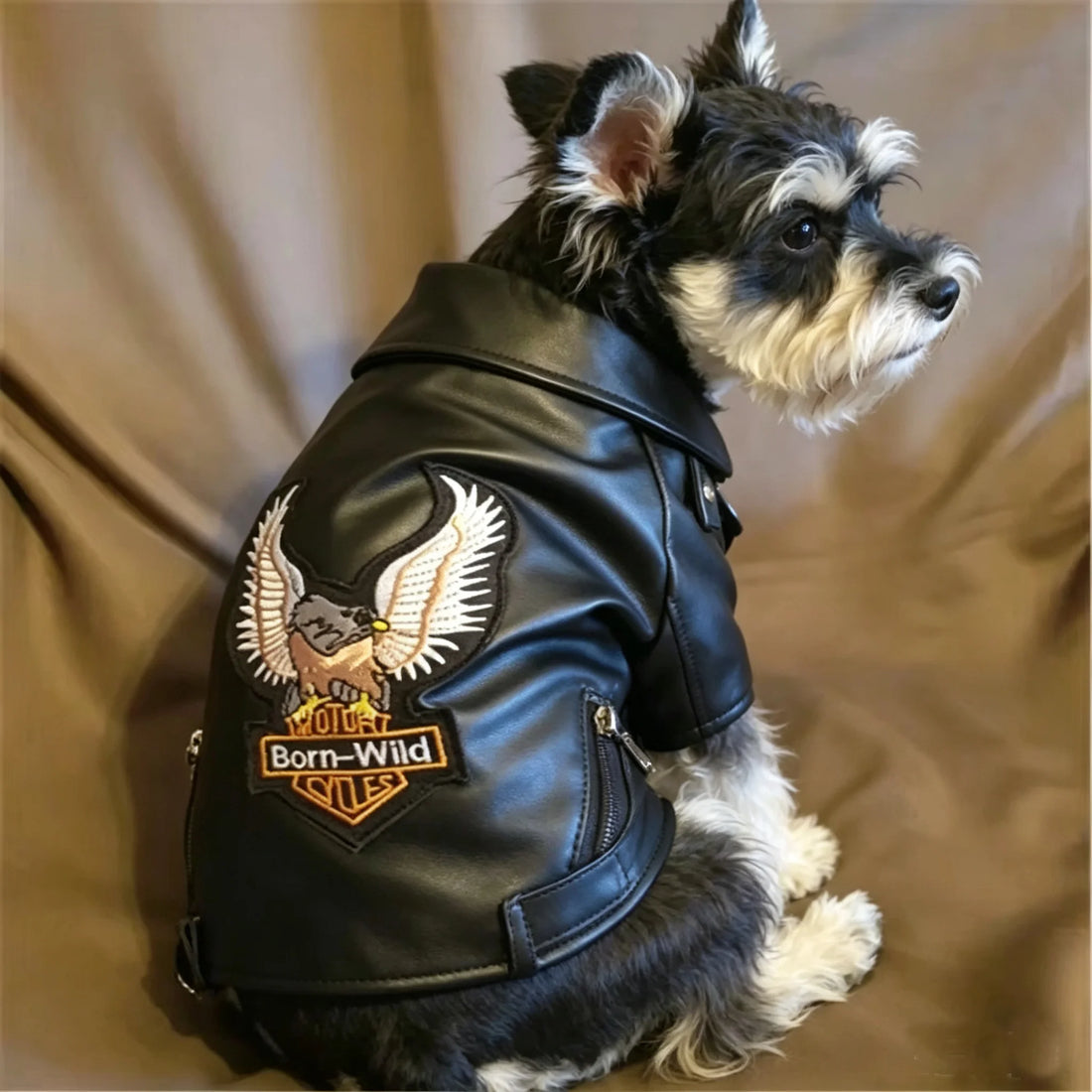 Aquila Rider Coat image 2