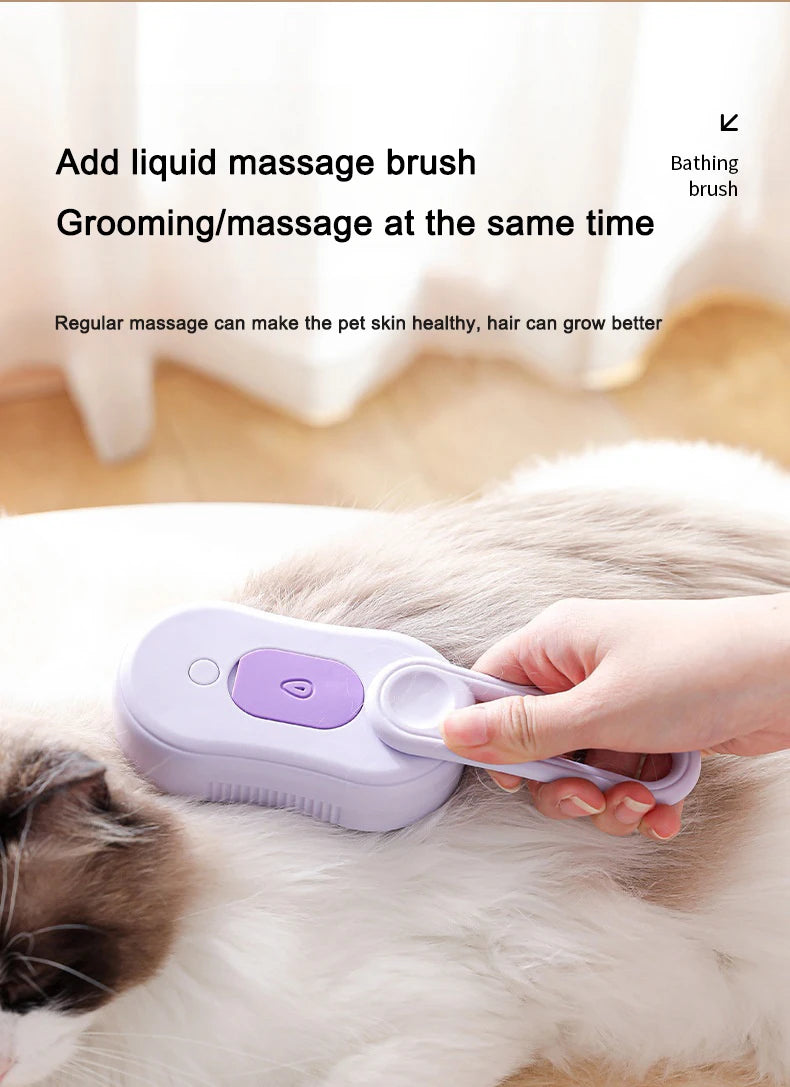 Steam Brush