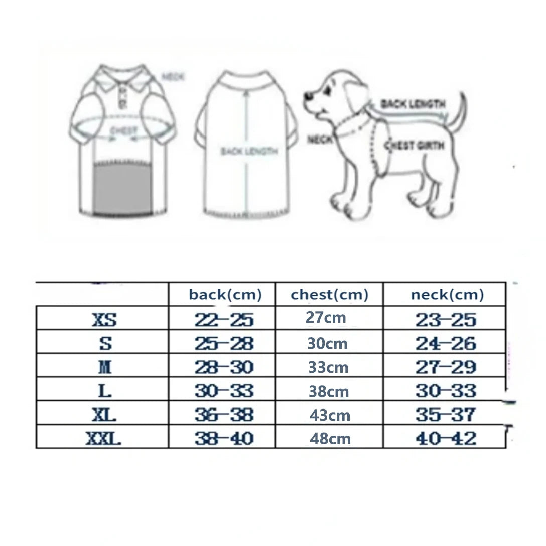 Aquila Rider Coat image 7