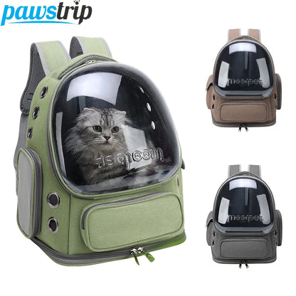AeroVista Carrier image 2