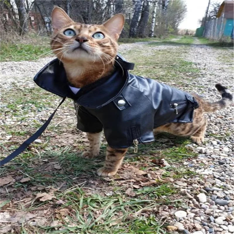 Aquila Rider Coat image 5