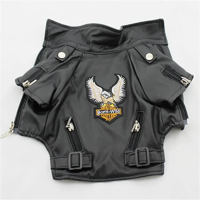 Aquila Rider Coat image 6