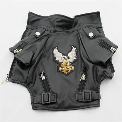 Aquila Rider Coat image 6