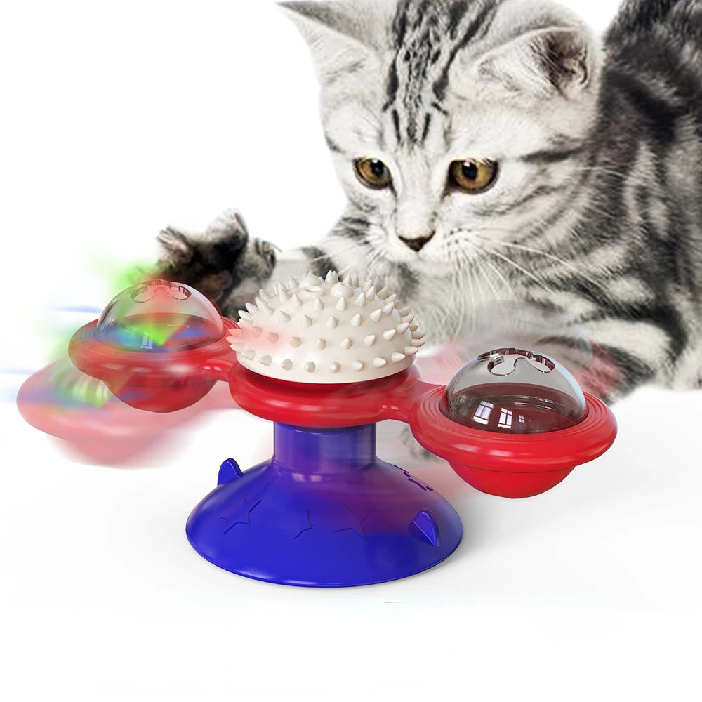 WhirlPaw Puzzle Wheel image 7