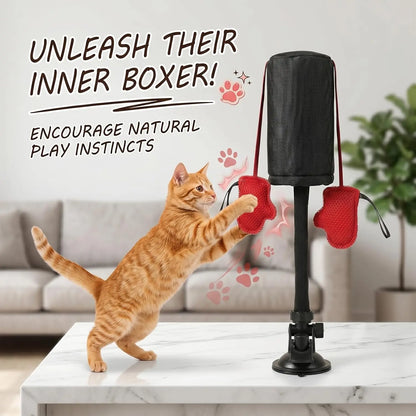 PawStrike Play Kit image 5