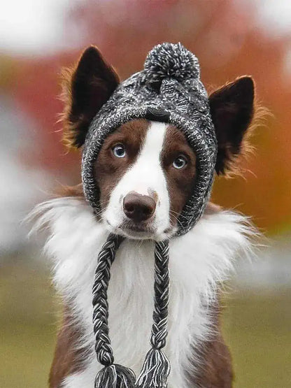 PupHalo Cap