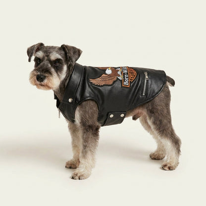 Aquila Rider Coat