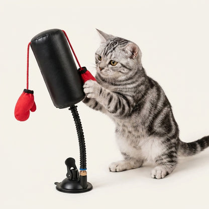 PawStrike Play Kit image 1
